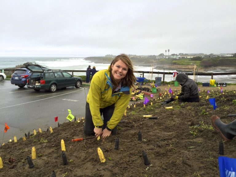 Contact Us Groundswell Coastal Ecology