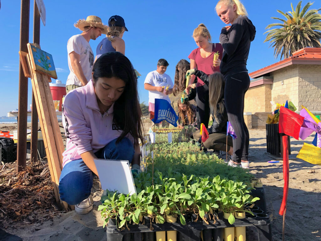 Student form Soquel High School plant natives at Rio del Mar.