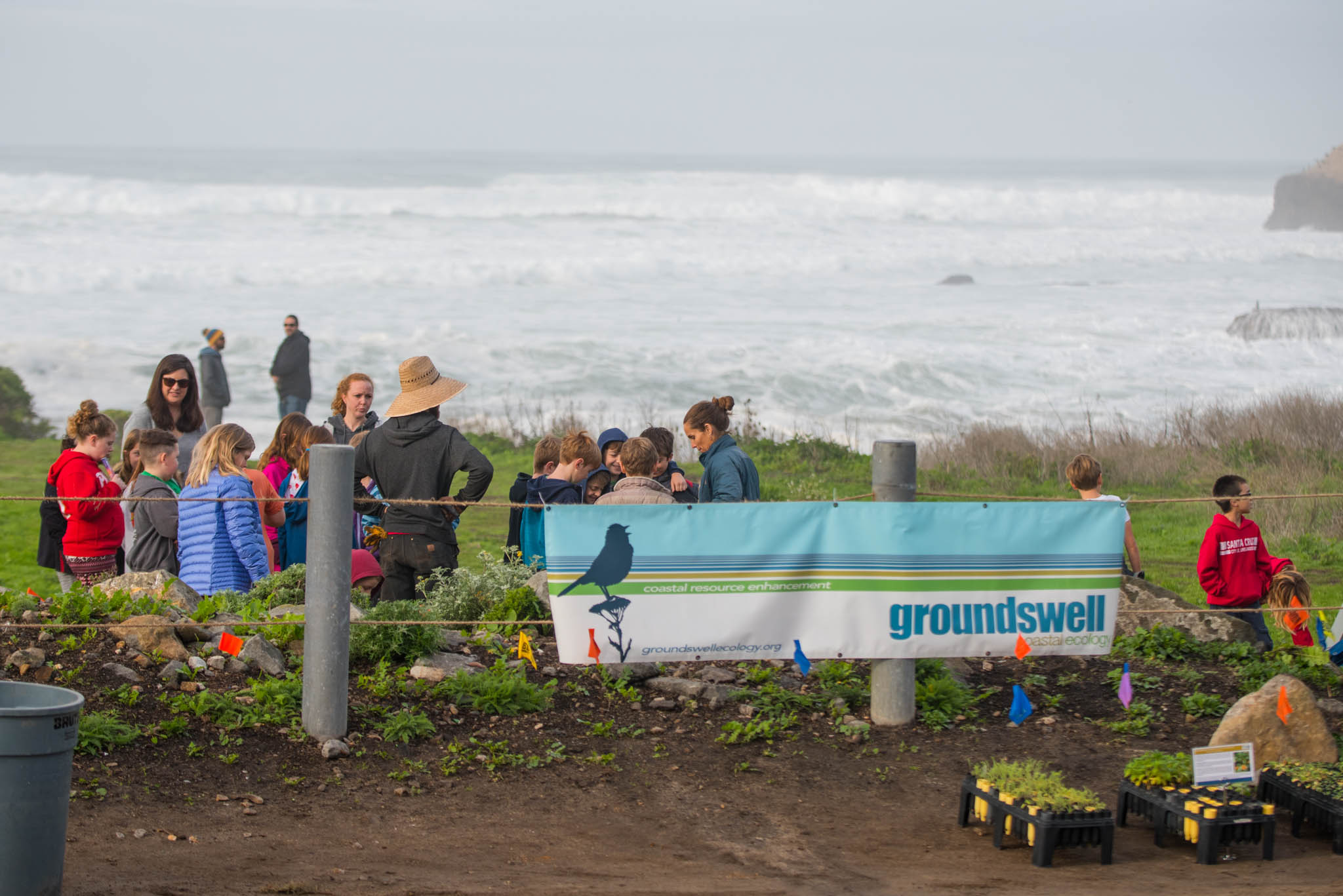Davenport Landing Groundswell Coastal Ecology