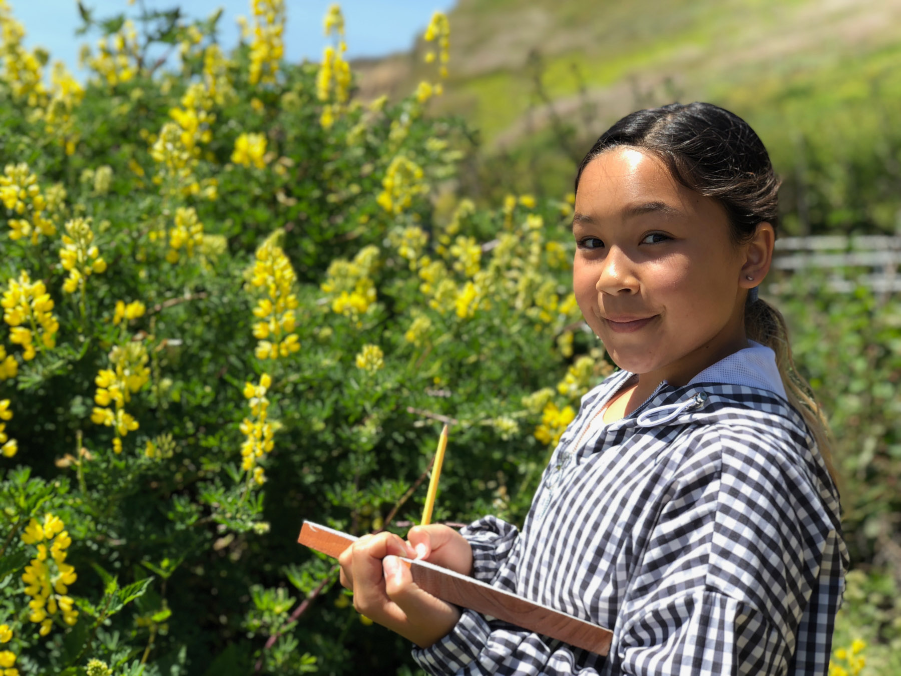 Davenport Landing Groundswell Coastal Ecology
