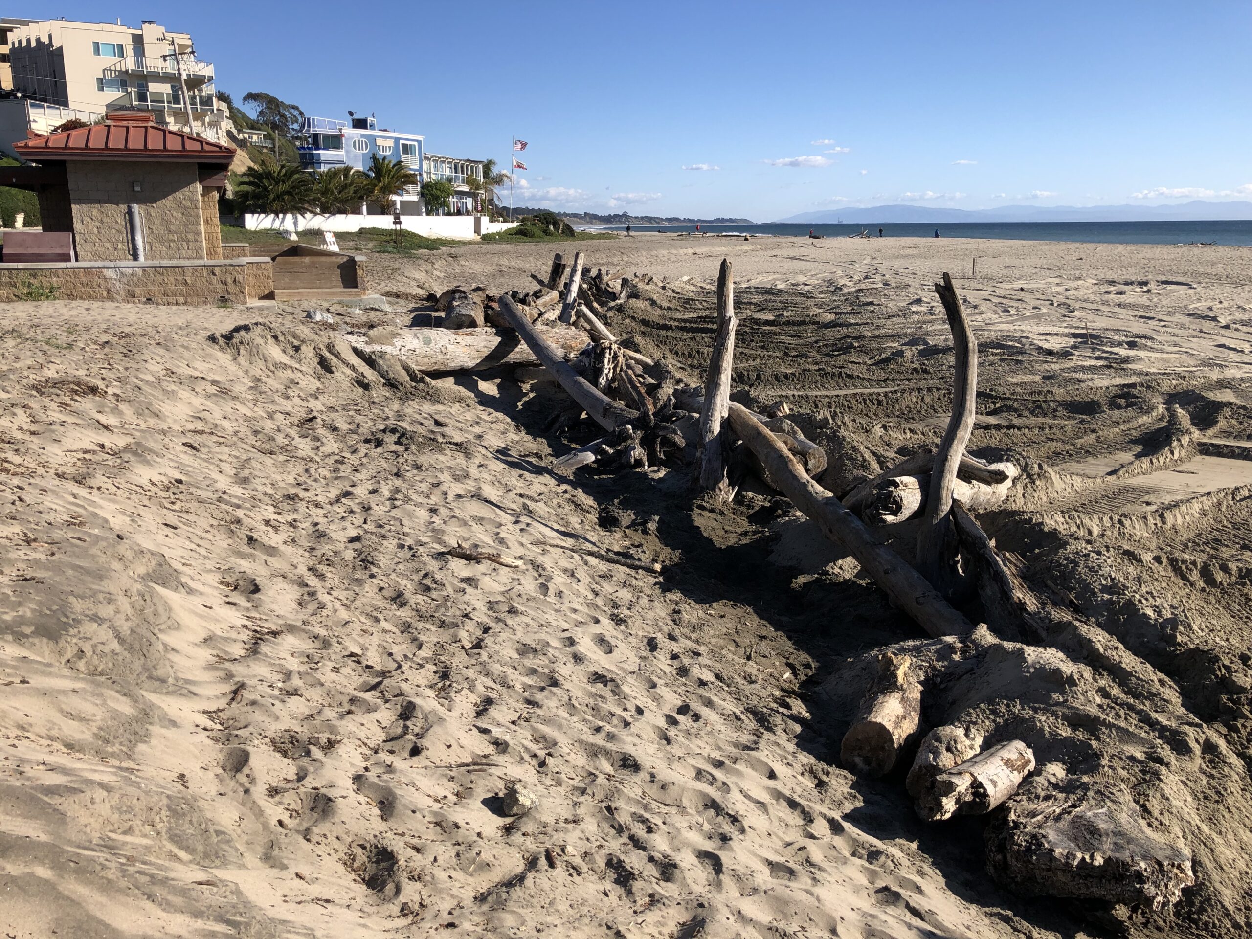 State Parks installed large driftwood logs in 2022 to form the foundation for the new dune.